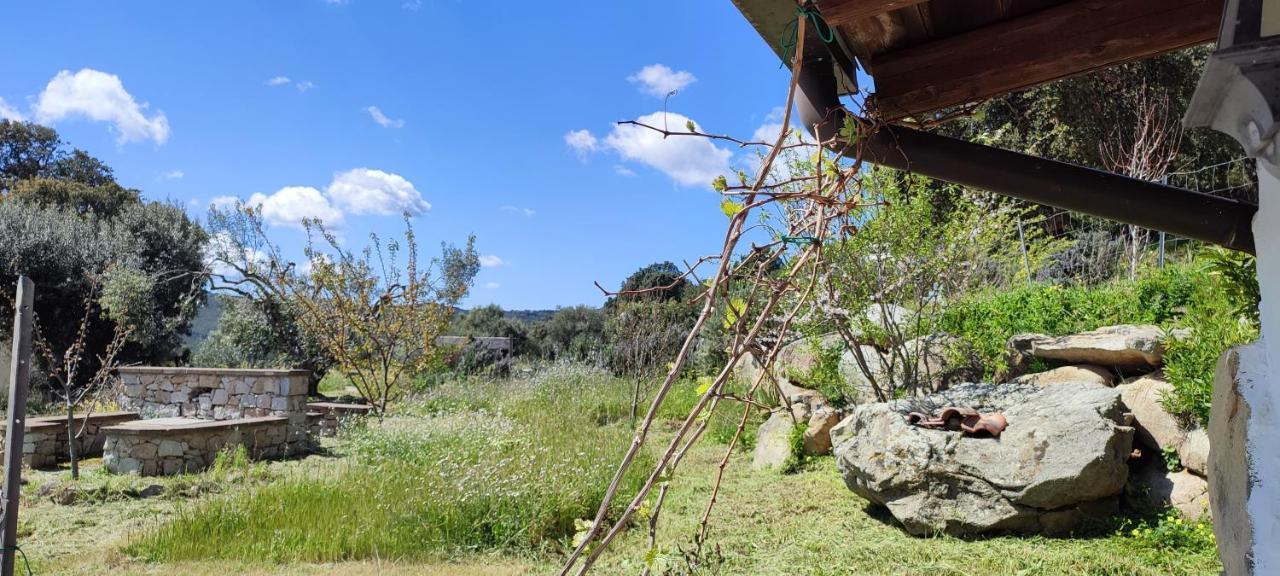 Il Nuraghe Bed & Breakfast Arbus Eksteriør bilde